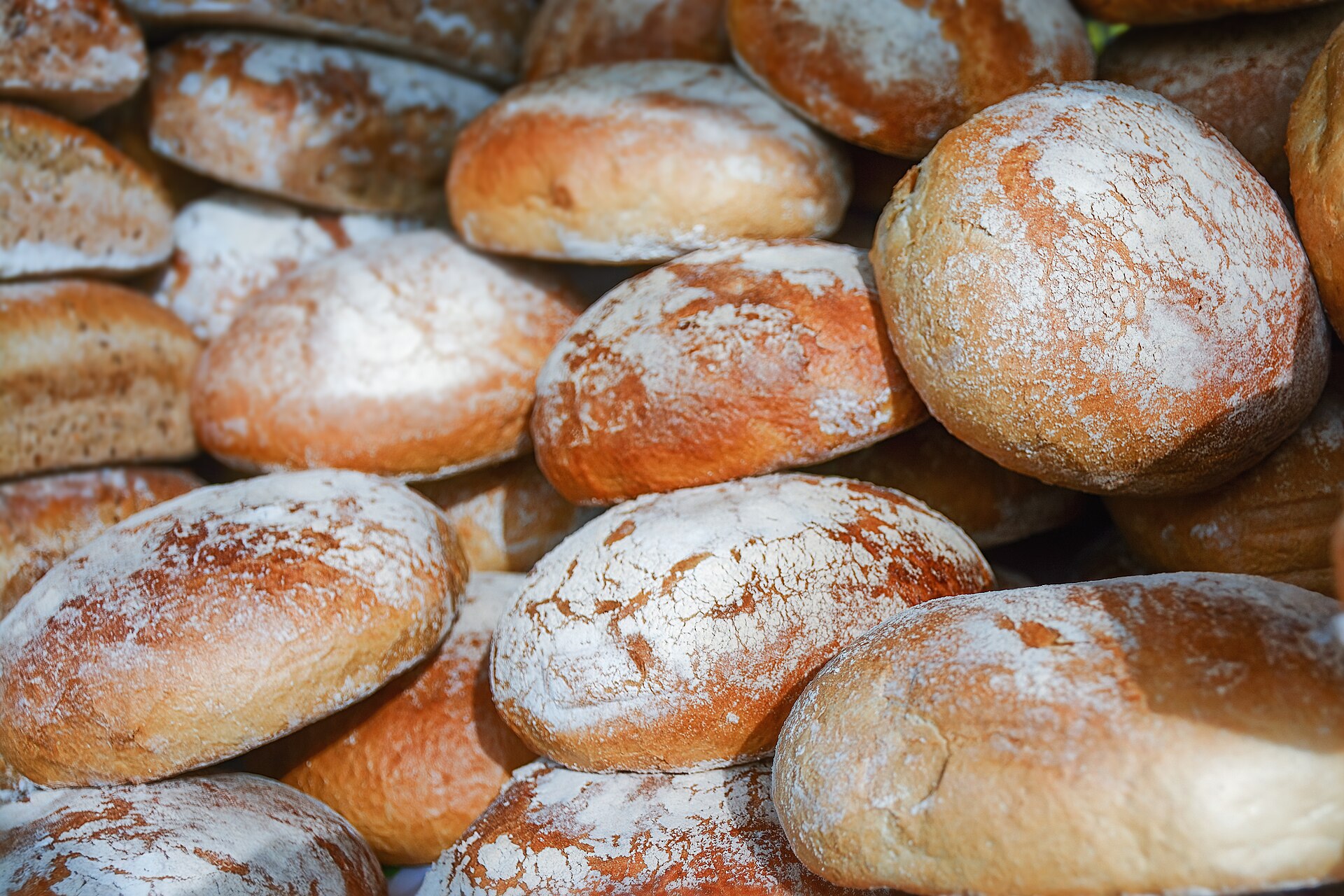 Pagnotte di pane rustico infarinate, appena sfornate
